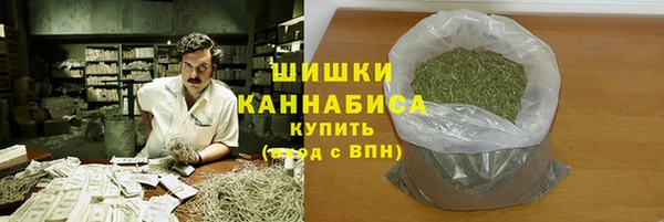 молекула духа Медногорск