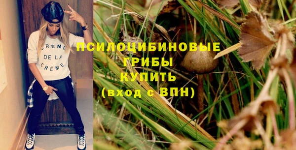 молекула духа Медногорск
