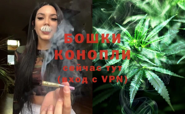 молекула духа Медногорск