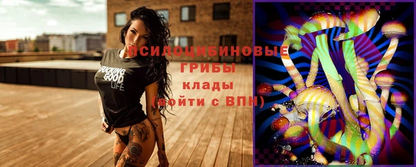 таблы Медвежьегорск