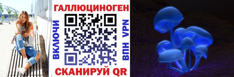 Псилоцибиновые грибы Cubensis  наркошоп  Топки 